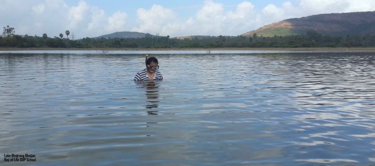 1276485_10154516884309918_4447685488083704323_o