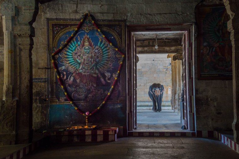 20160331-untitled-256