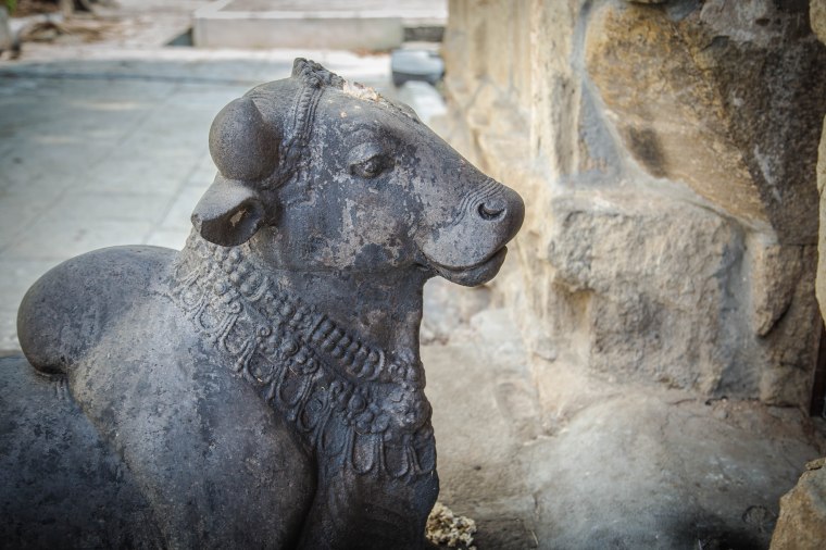 20160402-untitled-272